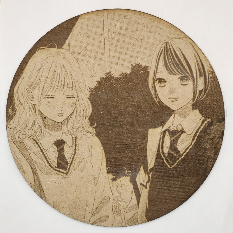 grabado laser en mdf manga, Hikari Mori y Mari Takahashi, Kimi no Yokogao wo Miteita , decoración otaku, decoración ánime/manga